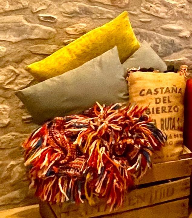Apartamento Colgante Al Rio Con Vistas Al Puente Camprodon Exterior foto